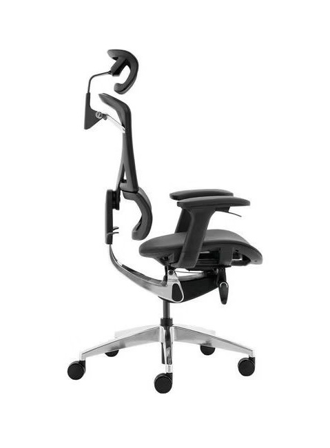 Ergonomic Chairs